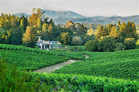 Sonoma Wineries For Wine Tasting In 2023 Sonoma County Wine Tasting