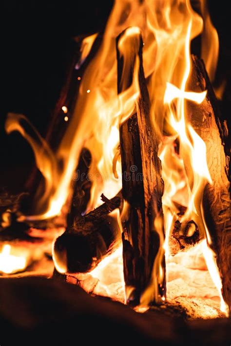 Closeup Shot Of A Bonfire In A Forest At Night Stock Image Image Of
