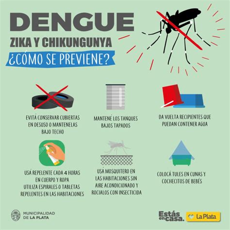 Dengue En La Plata Ya Son 213 Los Casos Confirmados