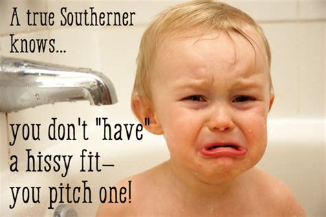 Funny Southern Sayings Expressions And Slang Wanderwisdom