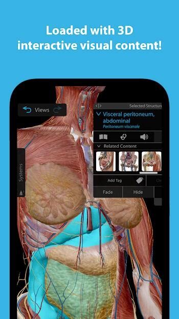 Human Anatomy Atlas 2021 Apk 202304011 Download For Android