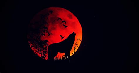 Wallpaper Wolf Howl Silhouette Full Moon Fire Moon Hd Widescreen