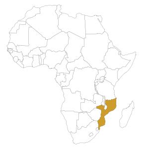 Download transparent africa map png for free on pngkey.com. africa-map-transparent-background - USA Mobilizing Office