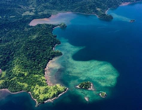 Best Things To Do On The Osa Peninsula Costa Rica Experts Osa
