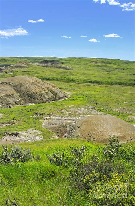 Grasslands National Park Photograph By Charline Xia Pixels