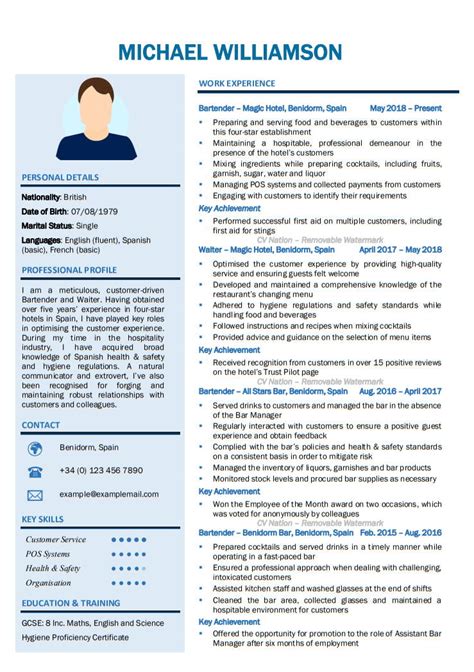 Example Of A Cv - The 20 Best Cv And Resume Examples For Your