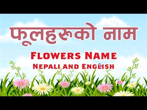 Flowers Name In English And Nepali Youtube