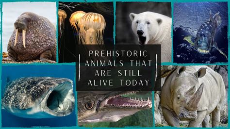 7 Prehistoric Animals That Are Still Alive Today Proto Animal