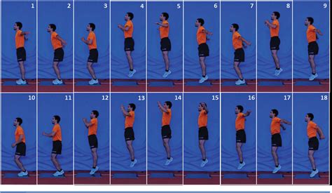 Pdf Tests Of Vertical Jump Countermovement Jump With Arm Swing And