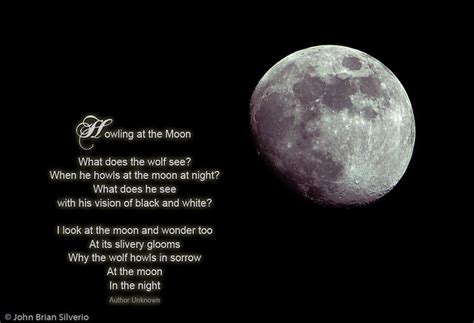 Moon Poem Flickr Photo Sharing