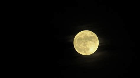 Why Is The Moon Yellow Science Facts And News