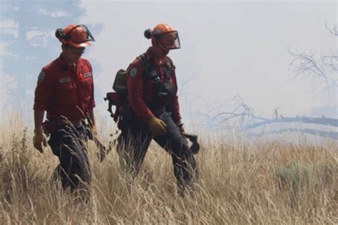 The bc wildfire service employs approximately 1,600 seasonal personnel each year, including firefighters, dispatchers and other seasonal positions. bc wildfires - Vernon Morning Star