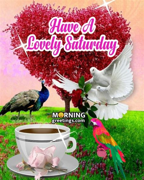 50 Splendid Saturday Quotes Wishes Pics Morning Greetings Morning