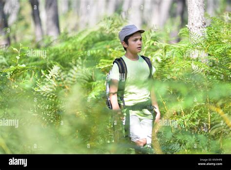 Little Boy Walking Alone In Forest France Stock Photo Alamy