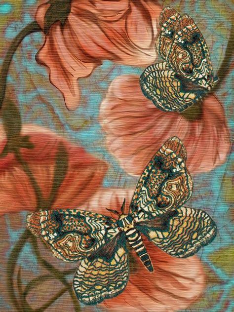 Butterfly Digital Art By Michelle Kennedy Fine Art America