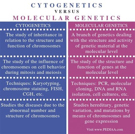 What Is The Difference Between Cytogenetics And Molecular Genetics Pediaa