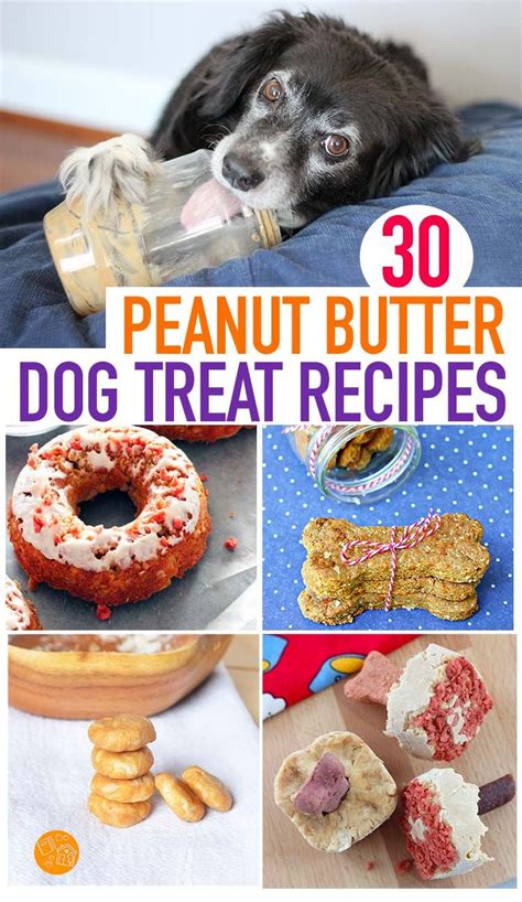 30 Easy Peanut Butter Dog Treat Recipes Your Pup Will Love Dog Treats