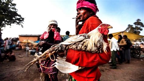 We did not find results for: Potret Tradisi Kuno Sabung Ayam di Pasar Akhir Pekan India
