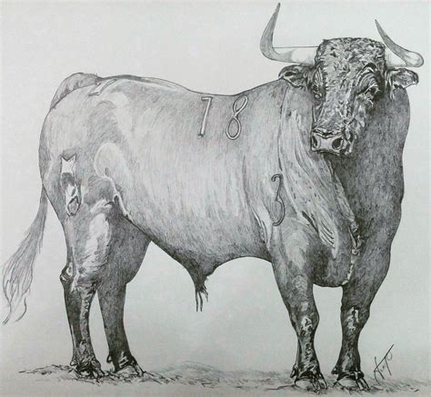Pin De Ricardo V En Bull Dibujos De Toros Toros De Lidia Toros