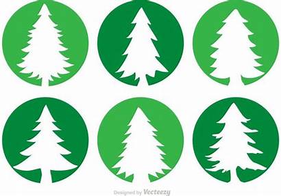 Cedar Circle Vector Trees Pine Tree Icons