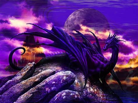 Black And Purple Dragons