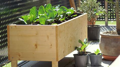 How To Create A Flourishing Vegetable Garden In A Small Space