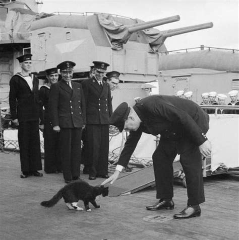 The Legend Of Unsinkable Sam The Cat That Survived 3 Shipwrecks