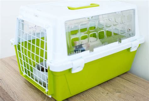 7 Best Travel Cages For Guinea Pigs 2023 Reviews And Top Picks Hepper