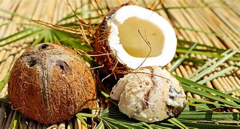 Quali sono le proprietà dell'olio di cocco. Olio di Cocco Alimentare: Proprietà e Usi, olio di cocco ...