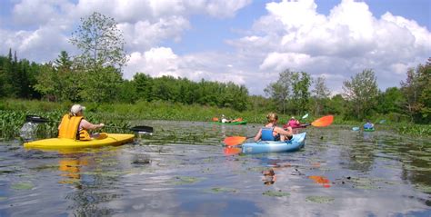 Recreational Kayaking In Maine North Pownal Maine Runaround Pond