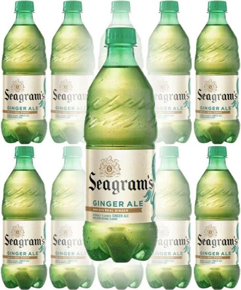 Seagrams Ginger Ale 20 Oz Bottle Pack Of 10 Total Of 200 Oz Ebay