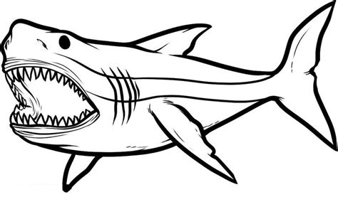 609 x 202 · 20 kb · jpeg. 17 Best images about Sharks on Pinterest | Shark fin ...
