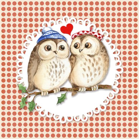 Owl Love Cute Illustration Free Stock Photo Public Domain Pictures
