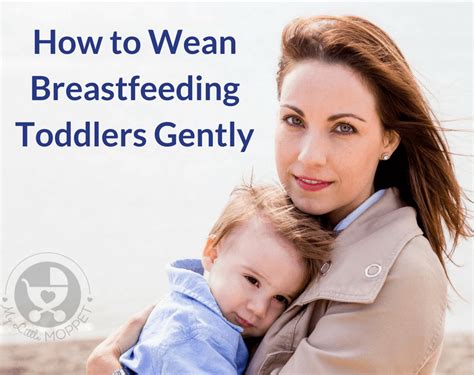 How To Wean Breastfeeding Toddlers Gently Weaning Breastfeeding