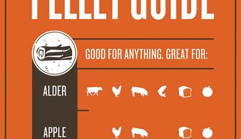Traeger Wood Pellet Grills | The Bolt | Traeger grill recipes, Traeger