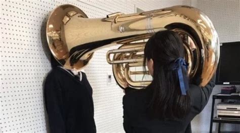 Girl Putting Tuba On Girls Head Video Gallery Know Your Meme