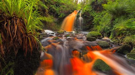 Forest Waterfall Desktop Background 496485
