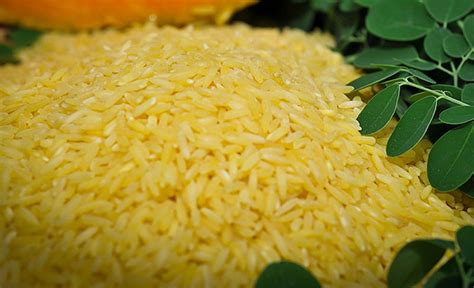 Fg Dangote Denies Importing Genetically Modified Rice