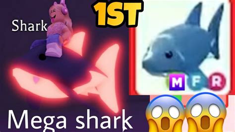 Making First Ever Mega Shark In Adopt Me Youtube