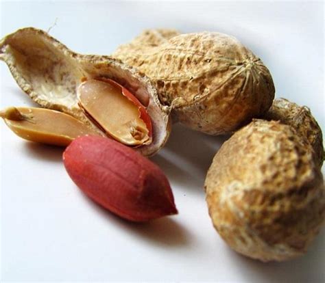Tra gli alimenti ricchi di ferro, le fonti più importanti sono: Quali sono gli alimenti ricchi di zinco - unCOME
