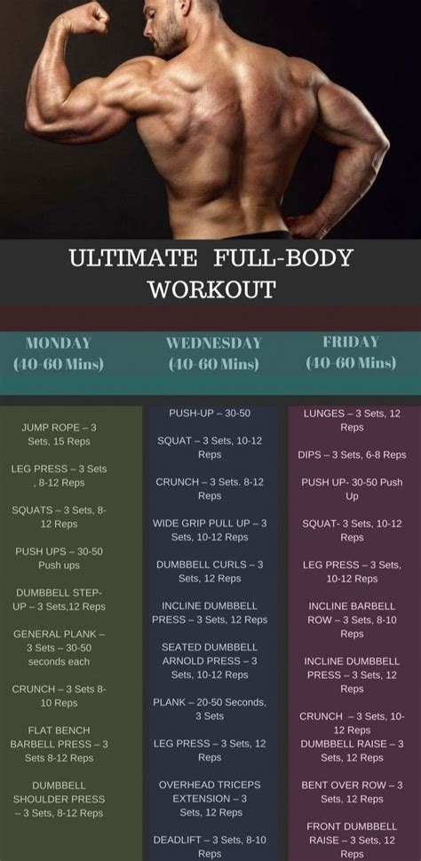 Ultimate Full Body Workout Plan For Men And Women Full Body Workout