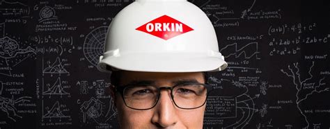 Spider Pest Control Treatment And Removal Services Orkin