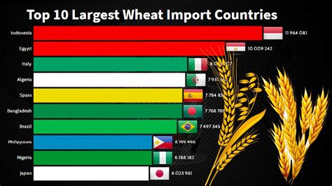 Top 10 Largest Wheat Import Countries In The World 1960 2020