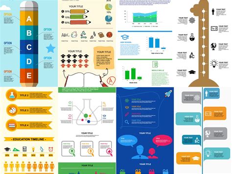 20 Great Infographic Examples For Students And Education Youidraw