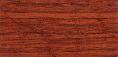 It is considered a generalist species (occurring in all forest types); The TAXA Wood Gallery