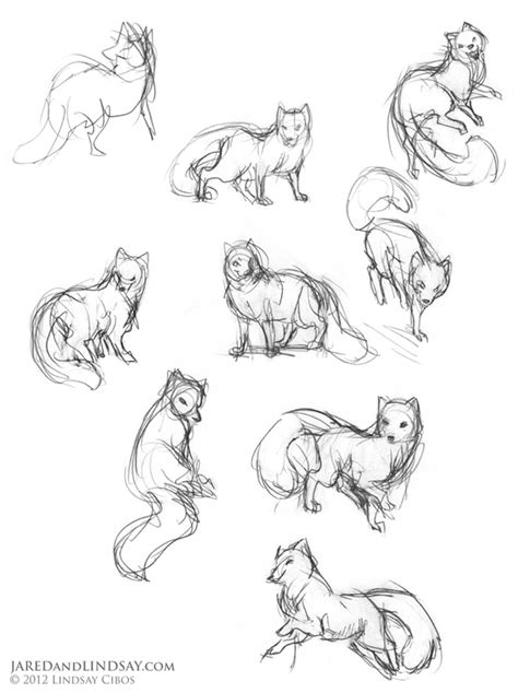 All right reserved about each tutorial by the creator member. The Last of the Polar Bears - cartoon fox