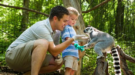 Animal Encounters At The Good Zoo At Oglebay Oglebay