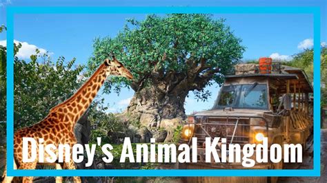 Disneys Animal Kingdom Orlando Youtube