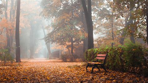 Wooden Bench In Autumn Trees Park Hd Nature Wallpapers Hd Wallpapers