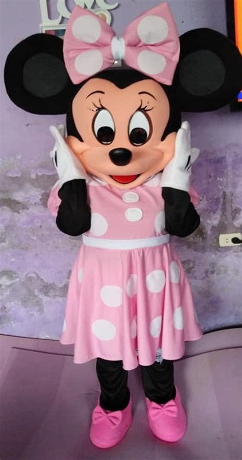 Pink Minnie Mouse Mascot Costume Adult Cartoon Character Etsy